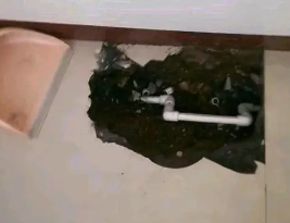 安图卫生间测漏水多少钱